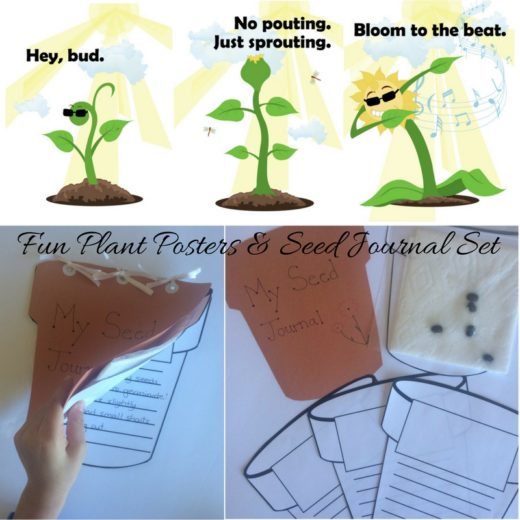 Fun plant posters & seed journal, perfect for a plant growth unit or Earth Day!