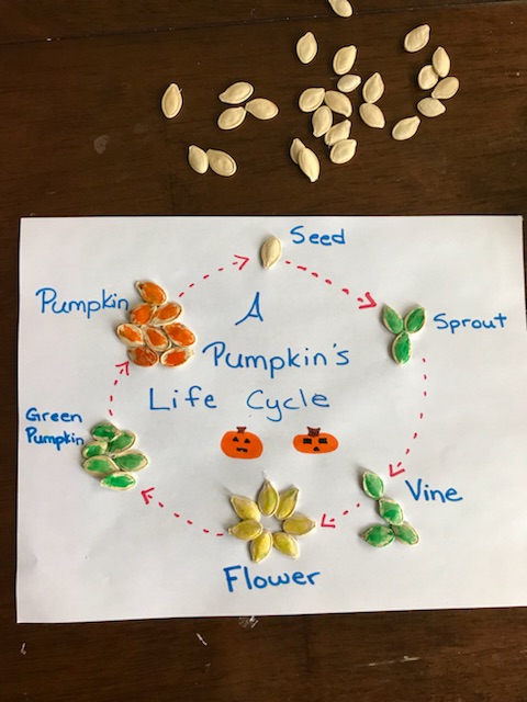 5 Fun Pumpkin Lessons For Kids